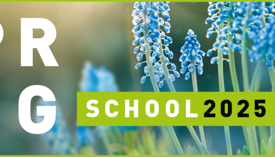 Springschool 2025 - schrijf je vandaag nog in!