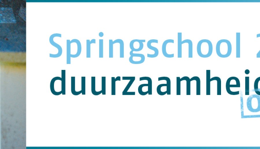 AI Springschool 2023 (online)