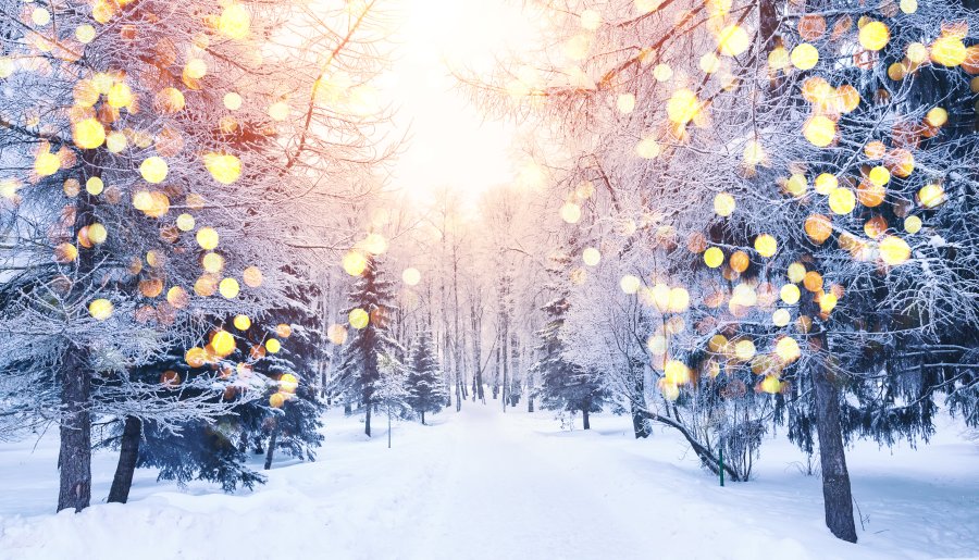 Kantoorsluiting tijdens de Kerstvakantie