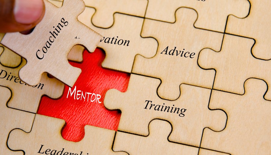 Collegiaal mentorschap en begeleiding