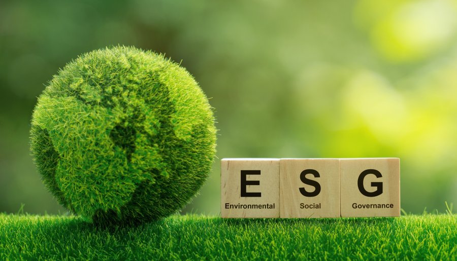 ESG voor actuariële professionals: theorie en praktijk
