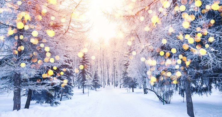 Kantoorsluiting tijdens de Kerstvakantie