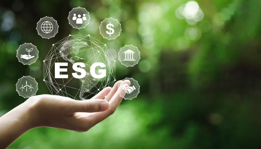 ESG Capita Selecta - Dubbele materialiteit